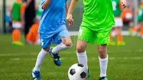 政策扶持激发创新动力，民营企业扬帆远航